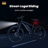 Touroll U1 26-Zoll-Offroad-Reifen-Elektrofahrrad 250-W-Motor, 36 V 13 Ah