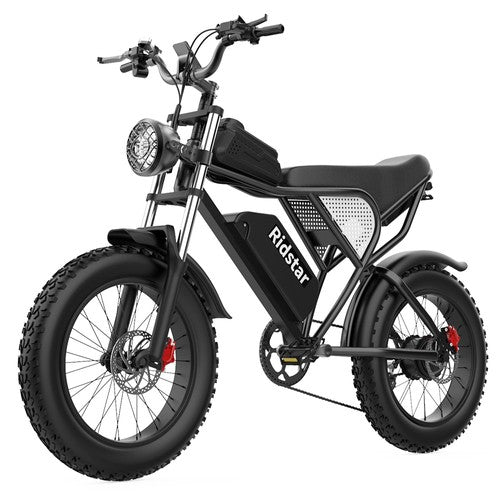 Ridstar Q20 Elektrofahrrad, 1000W Motor, 48V 20Ah