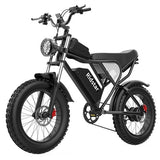 Ridstar Q20 Elektrofahrrad, 1000W Motor, 48V 20Ah