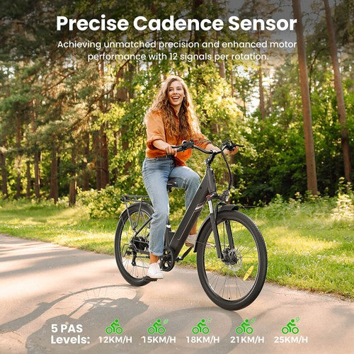 Touroll J1 Pro Elektrofahrrad, 250-W-Motor, 36 V 15,6 Ah