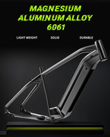 DUOTTS F26 PRO 750 W*2 Elektrofahrrad