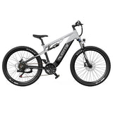 DUOTTS E29 Elektrofahrrad, 250-W-Motor, 48-V-13,5-Ah-Akku, 27,5 Zoll