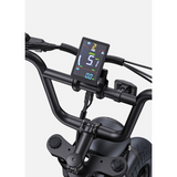 ENGWE M1 Elektrofahrrad 15,6 Ah