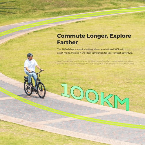 Eleglide C2 Elektrofahrrad 250W Mittelmotor 36V 13Ah