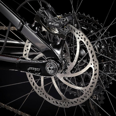 Baolujie DP2602 Elektrofahrrad 2000W 20Ah