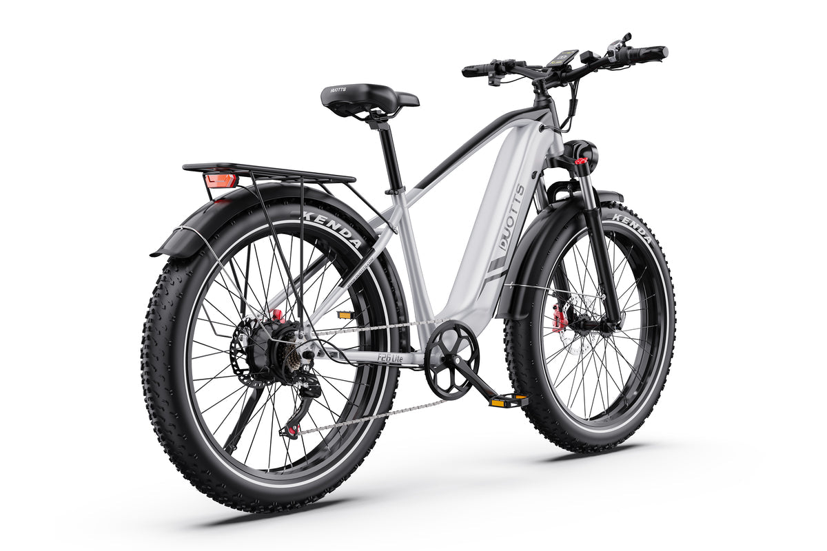 DUOTTS F26Lite Elektrofahrrad