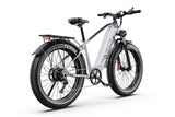 DUOTTS F26Lite Elektrofahrrad
