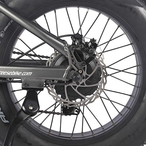 Fafrees F20 Ultra Elektrofahrrad (Bremsen-Upgrade-Version), 750-W-Motor, 48 V 25 Ah