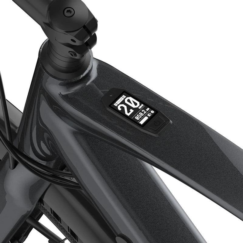 Fafrees F700W Elektrofahrrad 100 km