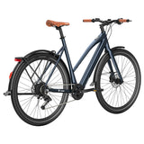 Fafrees F700W Elektrofahrrad 100 km