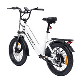 Bodywel F20 Fat Tire Touring Elektrofahrrad