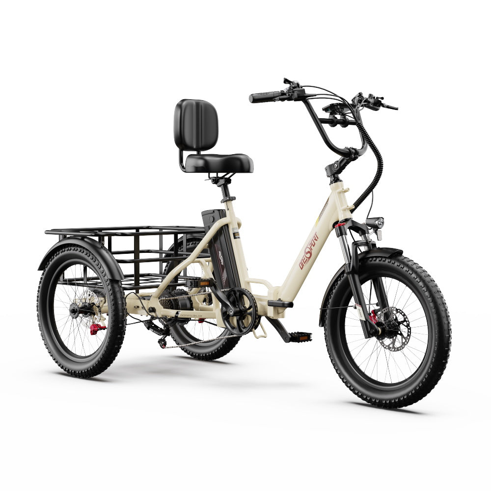 Onesport OT30 Pro Elektrofahrrad