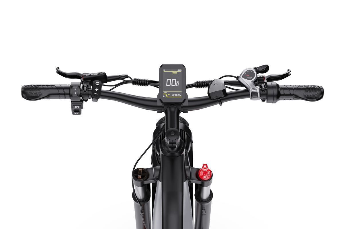 DUOTTS F26Lite Elektrofahrrad