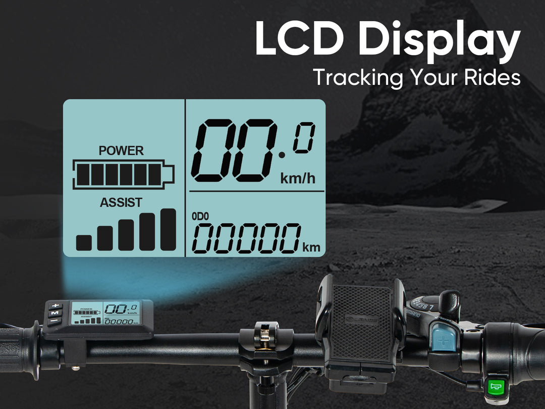 SAMEBIKE 20LVXD30-II faltbares Elektrofahrrad