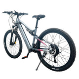RANDRIDE YG90A Elektrofahrrad 1000W Motor 45km/h max