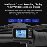 DYU A5 Vollständig faltbares Elektrofahrrad