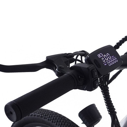 PVY M29 Elektrofahrrad 250W Motor 48V 17,5Ah