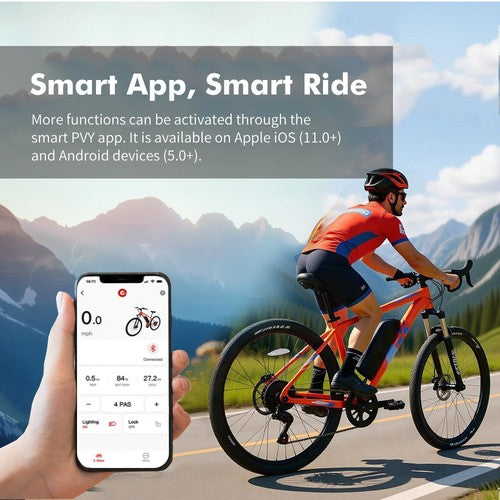 PVY M29 Elektrofahrrad 250W Motor 48V 17,5Ah