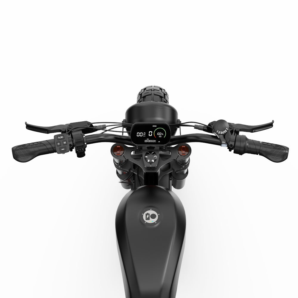 DUOTTS F20 Elektrofahrrad 27Ah 750W