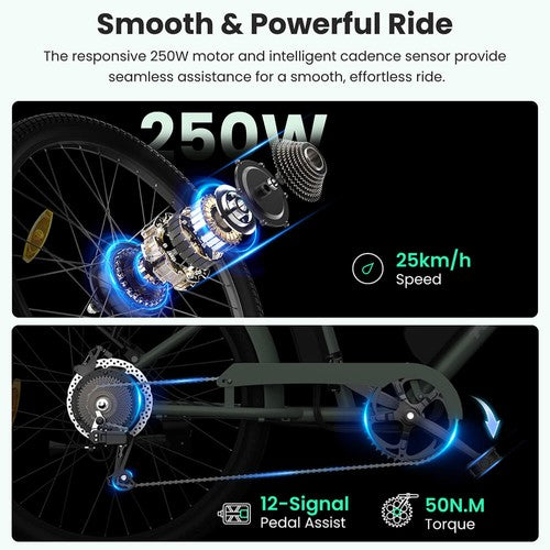 Touroll B2 Elektrofahrrad 250W Motor 36V 15.6Ah