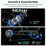 Touroll B2 Elektrofahrrad 250W Motor 36V 15.6Ah