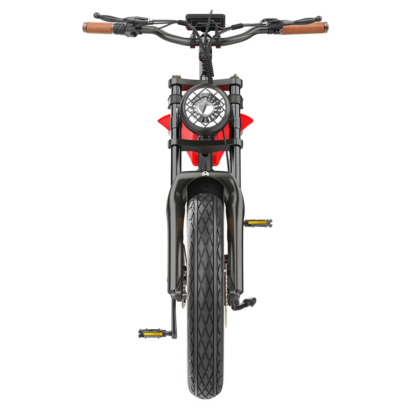 Hidoes B10 Elektrofahrrad 1000W Motor
