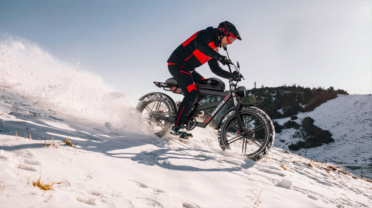 DUOTTS F20 Elektrofahrrad 27Ah 750W