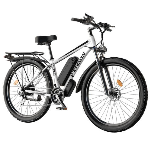 FENGQS Q8 Elektrofahrrad, 750-W-Motor, 48 V, 17,5 Ah, 50 km/h