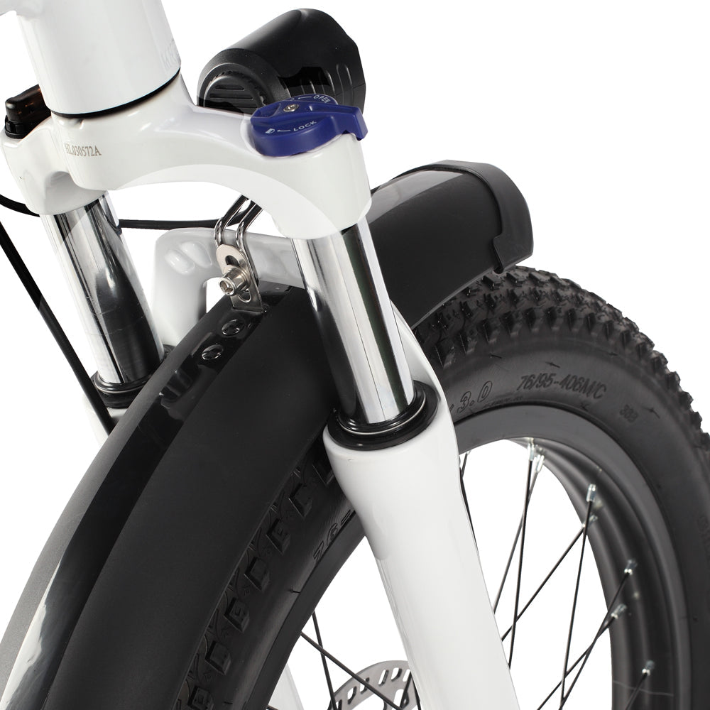 PHILODO Traveller Familien- und Lasten-Elektrofahrrad