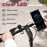 iScooter W5 Elektroscooter, 350-W-Motor, 36 V 7,8 Ah