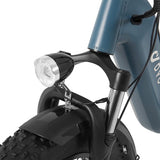 DYU FF500 Elektrofahrrad 500W 48V 14Ah LG