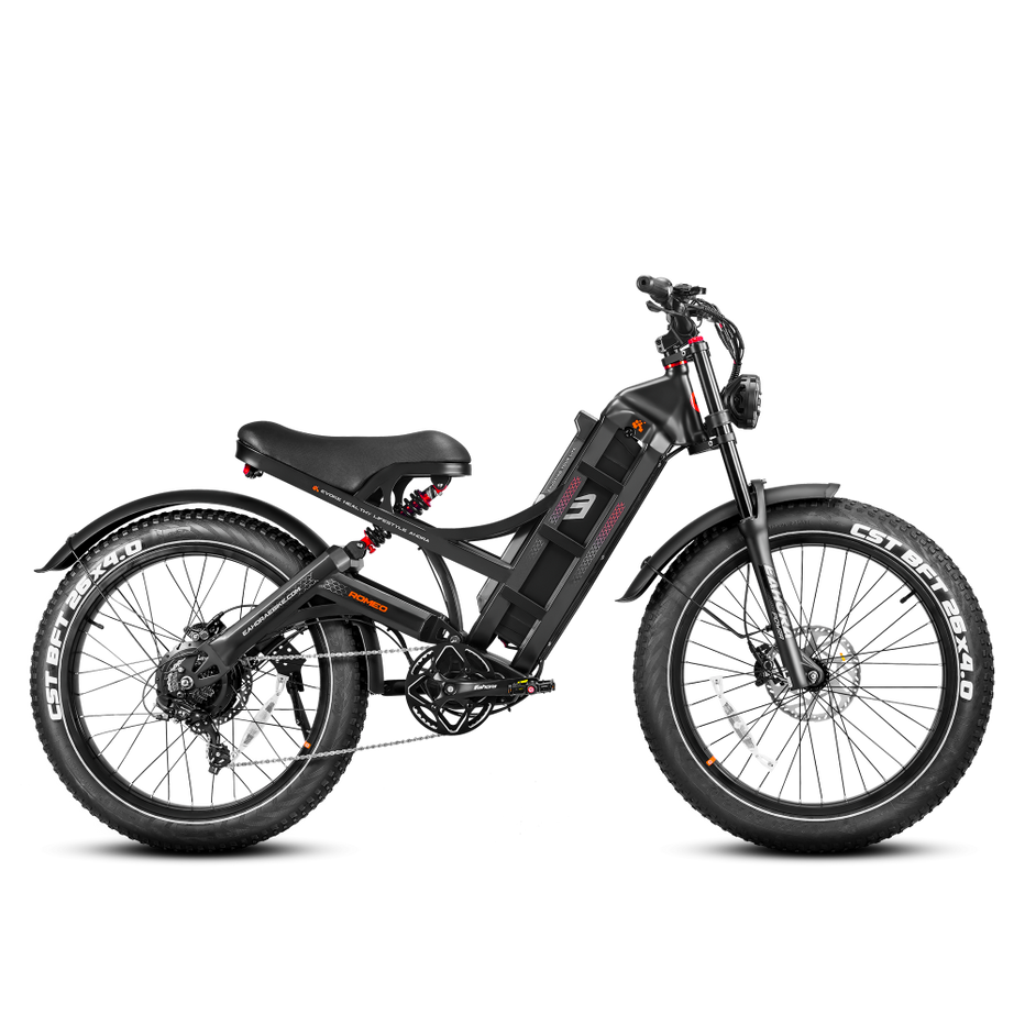 Eahora Romeo Pro Elektrofahrrad 1200W 60Ah
