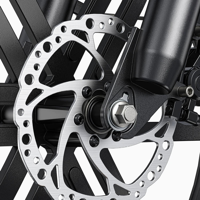 ENGWE L20 Boost
 250 W 126 km Power-Boost-Drehmomentsensor Step-Thru-Elektrofahrrad