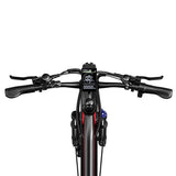 RANDRIDE YG90B Elektrofahrrad 1000W Motor 45km/h max