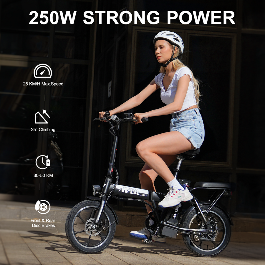 AVDL A10 Elektrofahrrad 250W