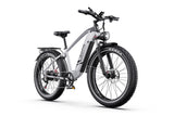 DUOTTS F26Lite Elektrofahrrad