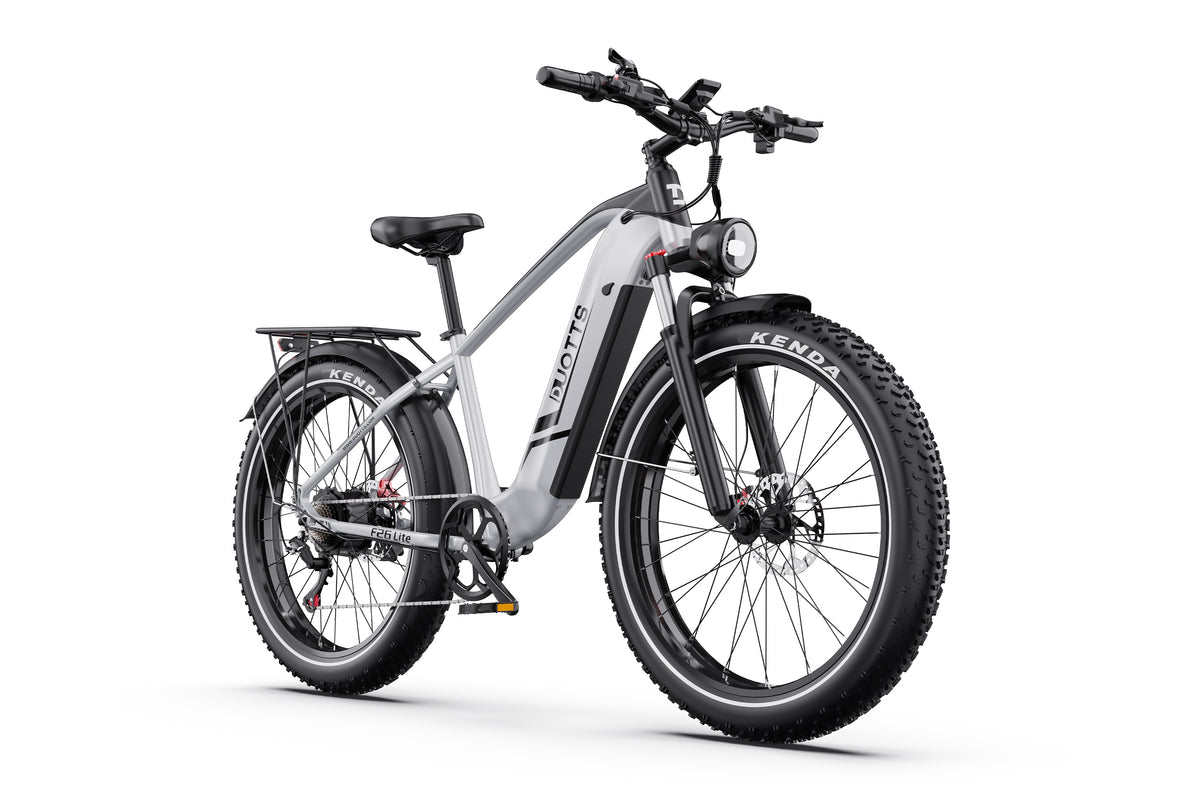 DUOTTS F26Lite Elektrofahrrad