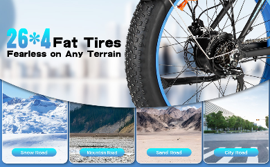 Baolujie DP2602 Elektrofahrrad 2000W 20Ah