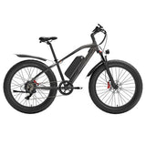 GOGOBEST GF600 Plus Elektrofahrrad, 1000 W Motor, 48 V 20 Ah