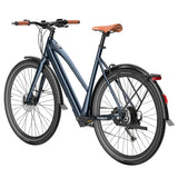 Fafrees F700W Elektrofahrrad 100 km