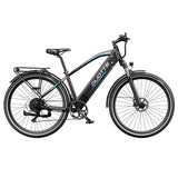 DUOTTS C29 Max Elektrofahrrad, 250-W-Motor, 48 V 18 Ah