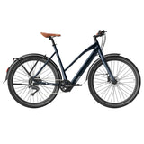 Fafrees F700W Elektrofahrrad 100 km