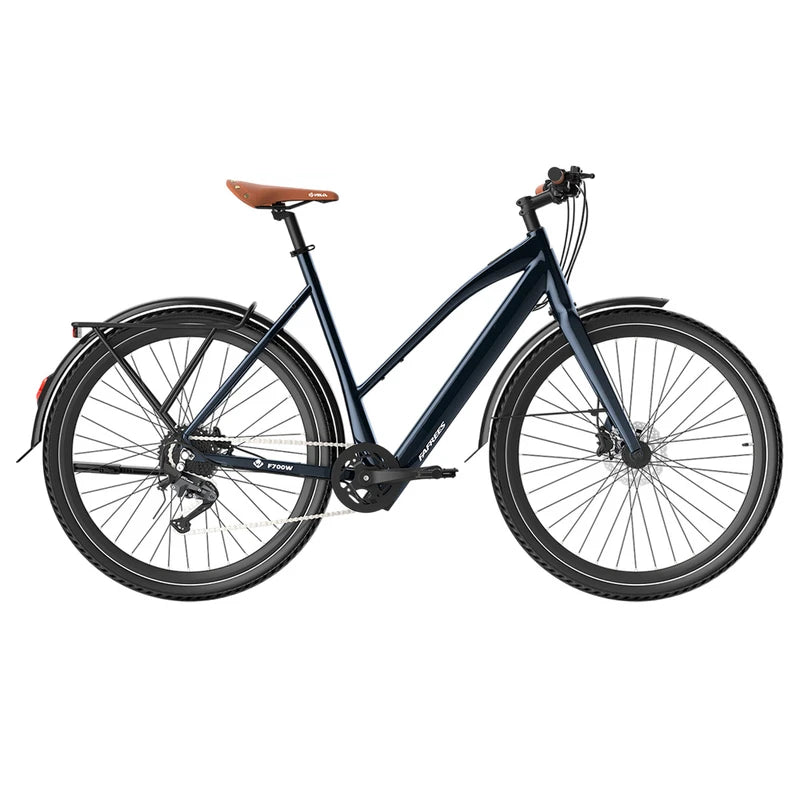 Fafrees F700W Elektrofahrrad 100 km