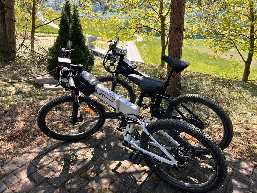LO26-II-YD Elektrofahrrad mit hydraulischer Bremse