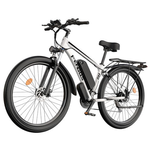 FENGQS Q8 Elektrofahrrad, 750-W-Motor, 48 V, 17,5 Ah, 50 km/h