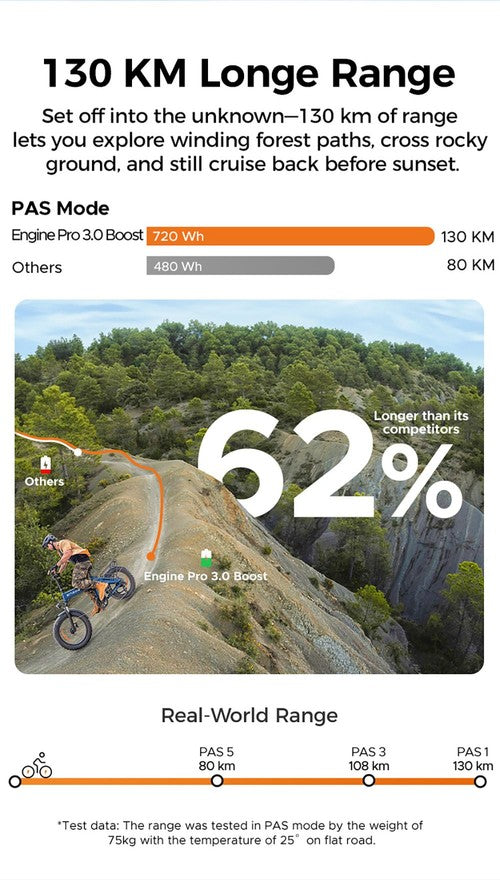 ENGWE Pro 3.0 Boost Elektrofahrrad, 250-W-Motor, 48 V 15 Ah