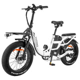 FAFREES F20 X-MAX 30Ah Elektrofahrrad